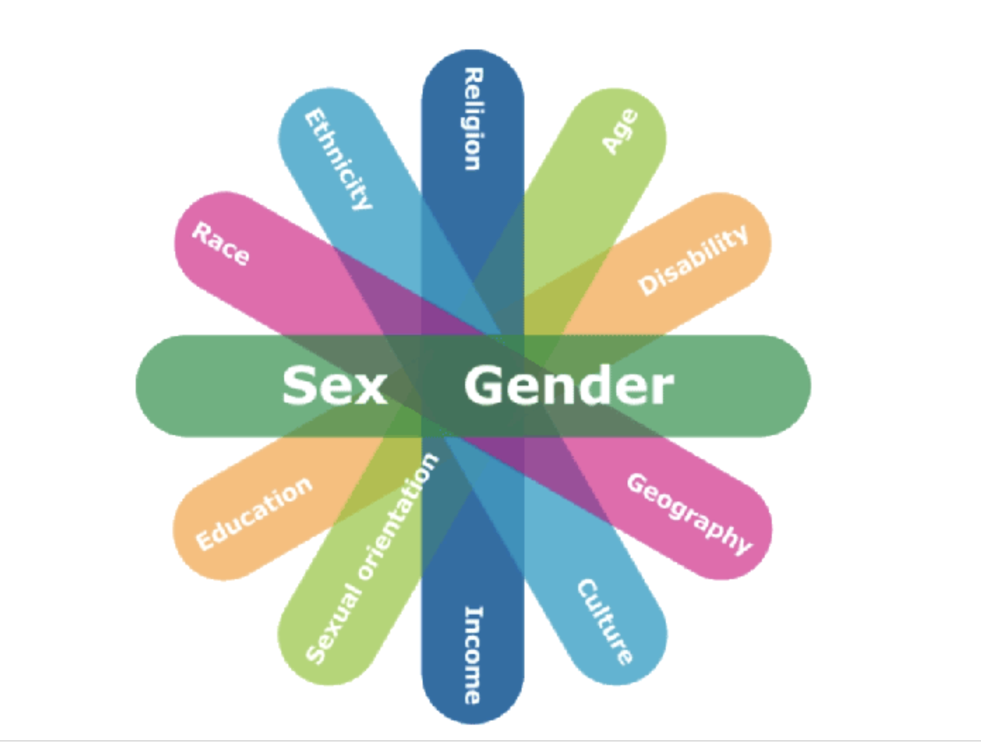 This figure illustrates some of the factors which can intersect with sex and gender. Six oblong shapes of differing colors overlap and fan out. Each oblong has two identity factors written on it. The top oblong has “sex and gender” written in a larger font. Starting below sex and gender and going clockwise, the additional identities identified are: geography, culture, income, sexual orientation, education, ethnicity, ability and/or disability, age, religion and language.